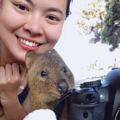 mfek00 - Kuoczka Photography Studio zaprasza
#quokka #quokkanadzis #zwierzaczki