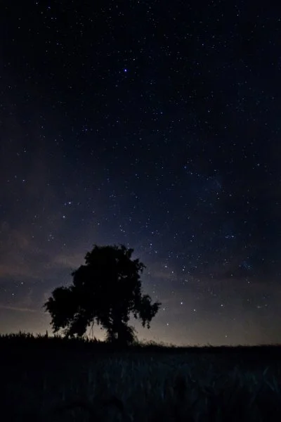 mactrix - Wrzucam jeszcze świetne ujęcie nocnego nieba autorstwa użytkownika @Defekt ...