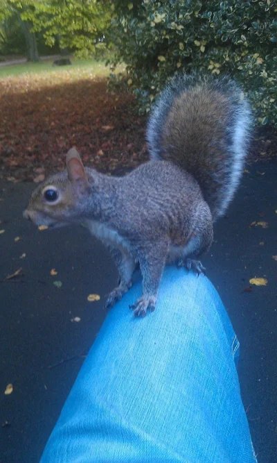 Queltas - #smiesznypiesek



SPOILER
SPOILER