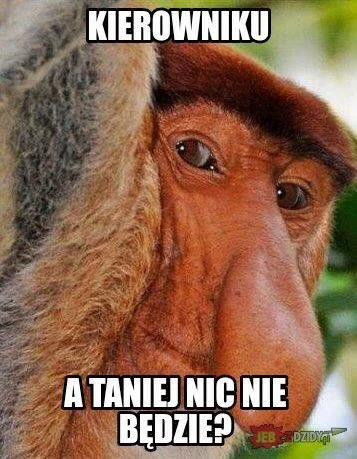 hassassin - @panjerzyduzomierzy: