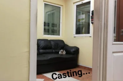 lordhellboy - Cute little pussy waiting for interview (⌐ ͡■ ͜ʖ ͡■)

#heheszki #kitku ...