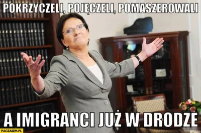 d.....f - #polityka #imigranci