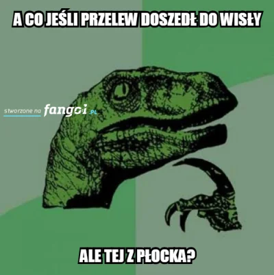 yyy98 - #heheszki #gownowpis #pilkanozna #ekstraklasa #wislakrakow #wislaplock #fango...