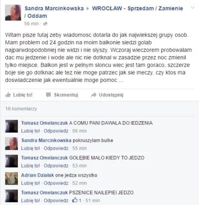 e.....m - Specjalista od gołębi ( ͡° ͜ʖ ͡°) #heheszki #humorobrazkowy #xd