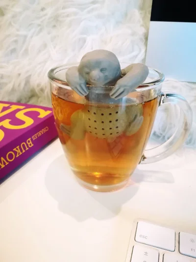 M.....a - Pije ktoś ze mną herbatkę? ʕ•ᴥ•ʔ #gownowpis