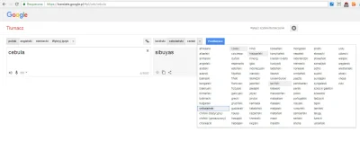 misisk - Taki dziwny język na Google translate

#cebula

SPOILER