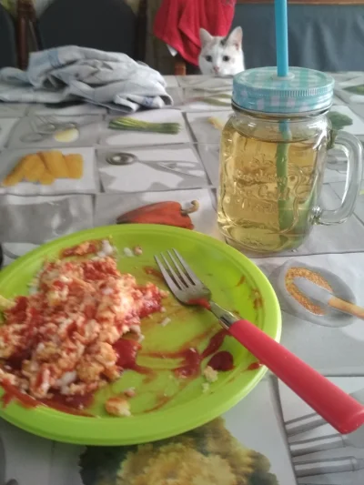 AzjatazPolski - Jak oceniacie moje śniadanie? Jajecznica z ketchupem i sok jabłkowy (...