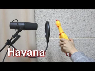 starnak - Camila Cabello - Havana 'Chicken Cover' #muzyka #chicken #gownowpis