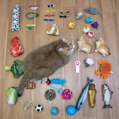 matador74 - Hosico Cat i jego zabawki


#tetrischallenge
#koty
#zwierzaczki
#he...