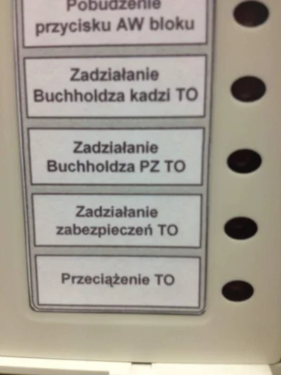 soadfan - Już widziałem wiele wariacji nazwiska Buchholtza ale tego co zobaczyłem na ...