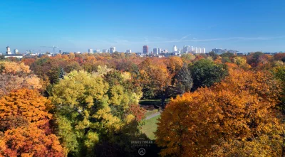 SurowyOjciec - Park Poniatowskiego 

#lodz #fotografia