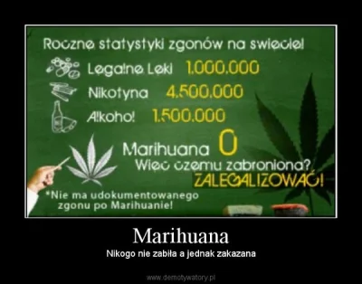 WilkuWdzHempGru - #wykopjointclub #marihuana #danielmagical