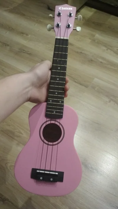 sluchampsajak_gram - Jest moje maleństwo (づ•﹏•)づ
#muzyka #ukulele #chwalesie
SPOILER