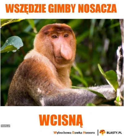 wscieklybyk - > @aksal89 Gimby już wszędzie nosacza wcisną.