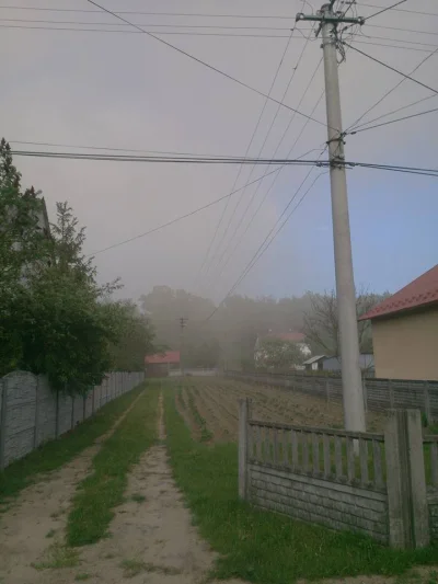 pawlik86 - Wczorajszy SMOG w Miejscowości pod Mielcem ...
http://mielec.lokalnie24.c...