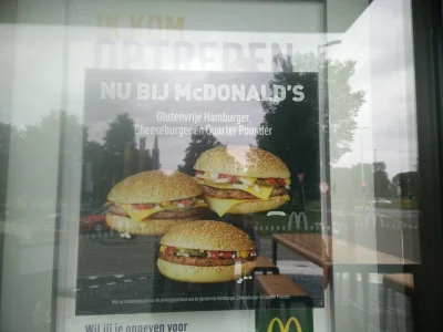 Amfidiusz - McDonald's w Holandii właśnie wprowadził do oferty hamburgery bez glutenu...