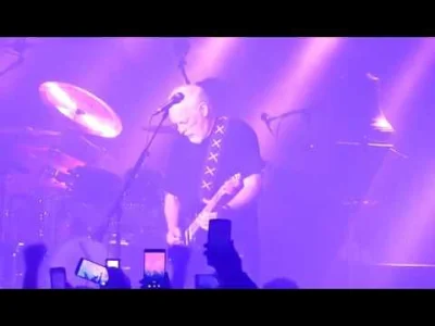 michael_ - Motyw z Purple Rain wpleciony w Comfortably Numb w wykonaniu Gilmoura. Bar...