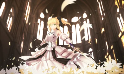 n.....S - #randomanimeshit #fate #saber #saberlily #sabernadzis # @Evil_Anon