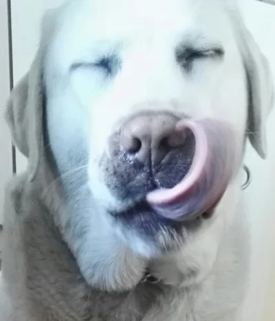 krejdd - @xieciunio: (｡◕‿‿◕｡)