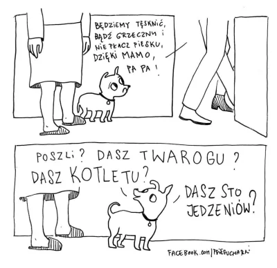 Zdejm_Kapelusz - #humorobrazkowy #heheszki #smiesznypiesek #psy #zwierzaczki