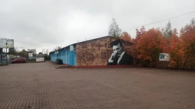 Vein - #bialystok #mural #tesla