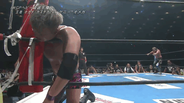 pawelgk - KO KO'S KO
#wrestling