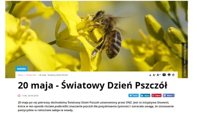 M.....s - 20 maja 2018 roku - po raz pierwszy obchodzony jest Światowy Dzień Pszczół,...