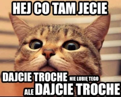 Pani_Asia - #smiesznekotki #zwierzaczki #heheszki #koty #memy #humorobrazkowy #jedzen...