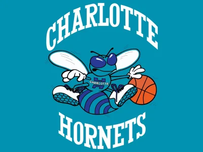 Laaq - @MuzG: pamiętam jak miałem koszulkę z logiem Charlotte Hornets, była zajebista...