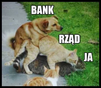 januszzczarnolasu - Bank oszukuje bo rząd mu na to pozwala.