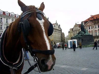 biszkoptowypiesobronny - i teraz sobie wyobraźcie, że mam znajomą z wyższym wykształc...