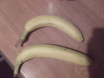 Gumi5 - Mircy, patrzcie jakiego dużego banana w Lidlu dziś kupiłem :O

Banan dla sk...
