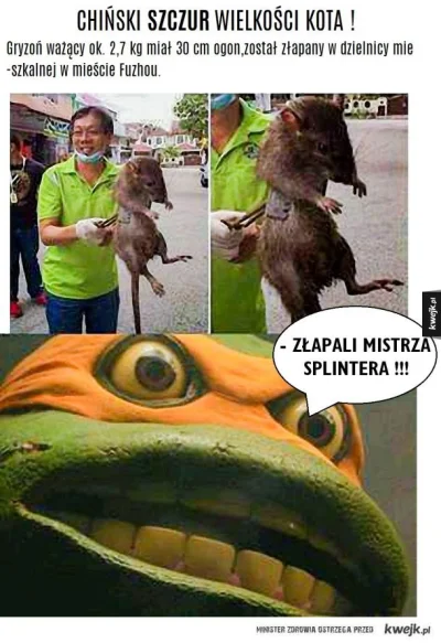 malypirat - #humorobrazkowy #ciekawostki