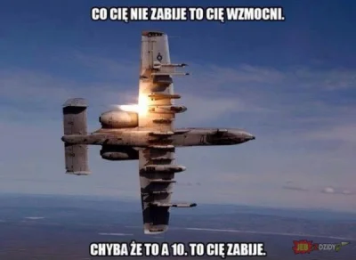 S.....i - #byloaledobre #heheszki #a10 #aircraftdeath #jebzdzidyaledobre