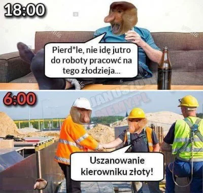 SzeryfChudy - Tak właśnie co poniedziałek to wygląda...

#humorobrazkowy