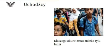 k.....v - #rzeczpospolitapl #gazeta #imigranci

tak rzeczpospolita ilustruje :) "sa...