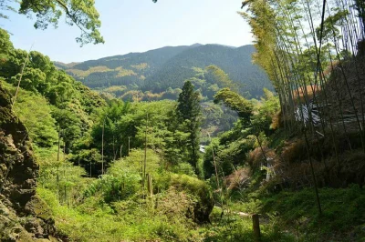 Hake - #fotografia #japonia