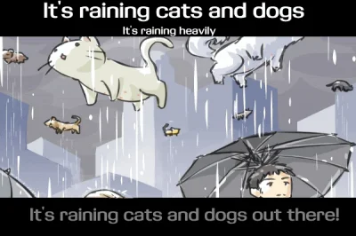 mandarin2012 - W dzisiejszym wpisie - idiomy

idiom it's raining cats and dogs

I...