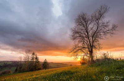 KamilZmc - Trochę słońca w ten pochmurny dzień. 
Nikon D7200 + Samyang 10mm, Exif: I...