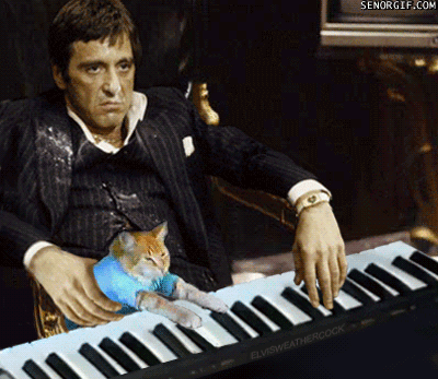 Schwarz_Charakter - #scarface #keyboardcat #gif #humor