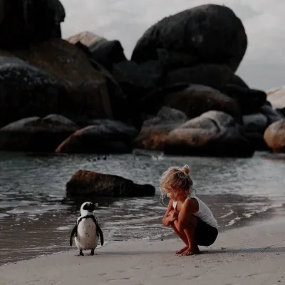 pogop - (｡◕‿‿◕｡) #fotografia #natura #dzieci #pingwiny #uroczezdjecie