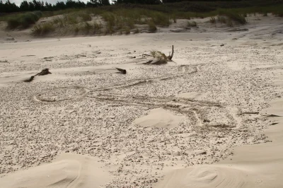 C.....r - > 1

@volq: Symbol Tau'ri ze Stargate na plaży który sobie z nudy zrobiłe...