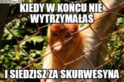 Zarzadca - #polak #nosaczsundajski #heheszki #humorobrazkowy #bekazrozowychpaskow #ka...