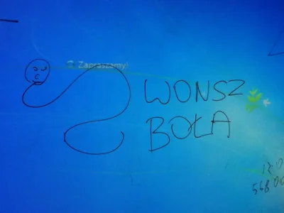 k.....5 - #wonsz #bola #wonszbola
