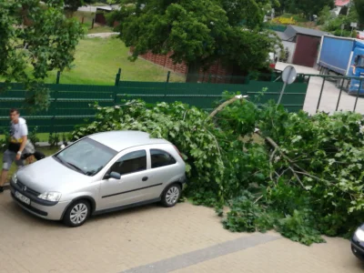 Trast - #szczecin #wygryw #burza
Tyle wygrać, auto posmyrane tylko liśćmi. Idę puścić...