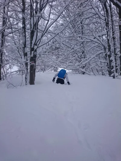 el_rupert - Śniegu po same jajca.
#bieszczady w drodze na Połoninę Caryńską. Trasa 1h...