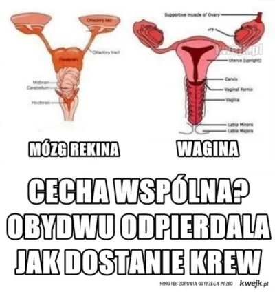 O.....9 - xD Mistrz #kwejkaledobre #rozowepaski