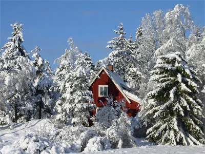 karmajkel-nowak - #szwecja #szwecjatakapiekna #zima

Zima w Szwecji