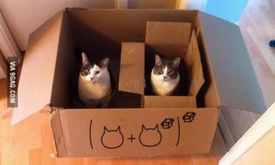 P.....r - Jaki będzie wynik? ( ͡° ͜ʖ ͡°)
#koty #matematyka #heheszki #humorobrazkowy