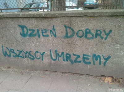 Wafellini - Polki do Kaczyńskiego: nie chcemy rodzić dzieci skazanych na śmierć!

W...
